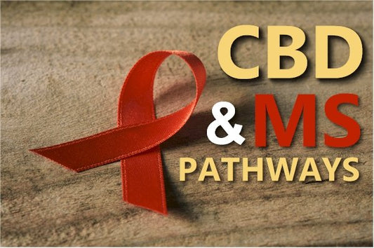Updated Research on CBD and  the Pathways of MS - indigonaturals.net