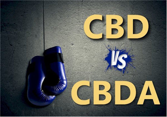 Updated Research on CBDA versus CBD - indigonaturals.net
