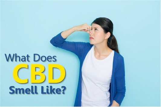 What Does CBD Smell Like? - indigonaturals.net