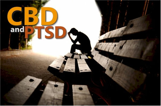 What Does New Research Show for CBD and PTSD - indigonaturals.net