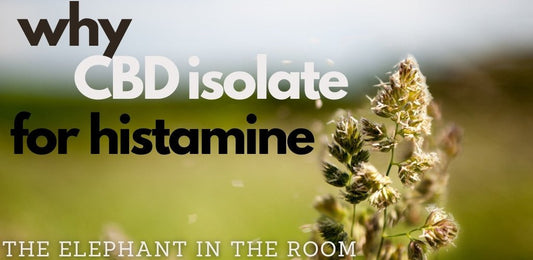 Why CBD Isolate for Histamine and Allergies - indigonaturals.net