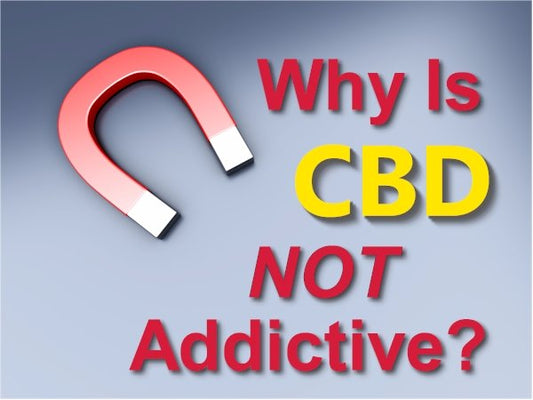 Why is CBD Not Addicting or Habit Forming? - indigonaturals.net