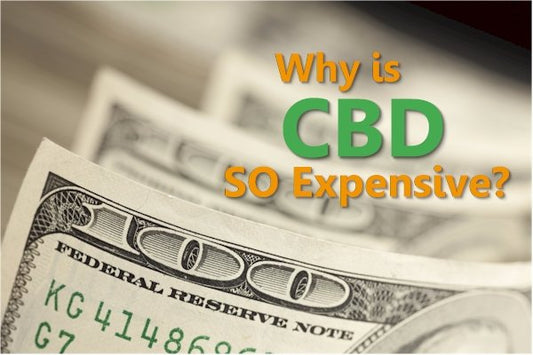 Why is CBD So Expensive? - indigonaturals.net