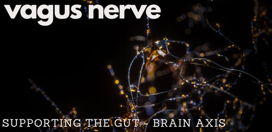 Your Guide to the Vagus Nerve - indigonaturals.net